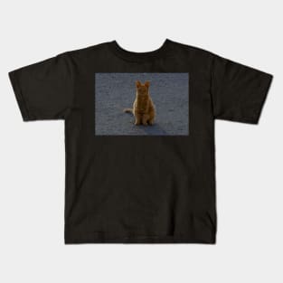 orange cat on the street Kids T-Shirt